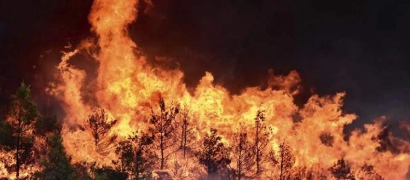 Oριοθετήθηκε η φωτιά στην Κέρκυρα - Συνελήφθη 55χρονος για εμπρησμό